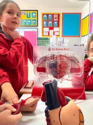 Foto Colegio The British School of Córdoba #2