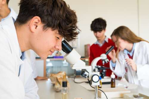 Foto Colegio Almedina  #3