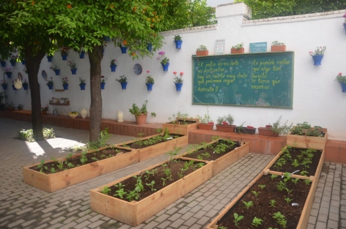 Foto Colegio López Diéguez #2