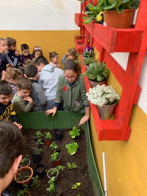 Foto Colegio San Lorenzo #2