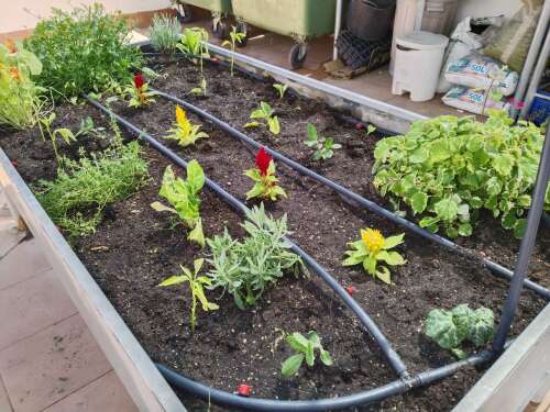 Foto Colegio CEEE Virgen De La Esperanza #2