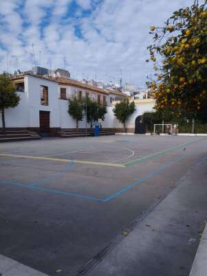 Foto Colegio Divina Pastora Córdoba #3