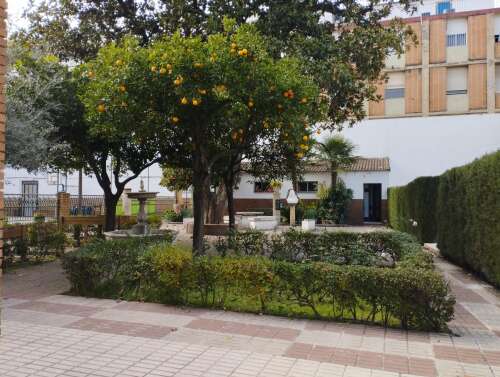 Foto Colegio Divina Pastora Córdoba #3