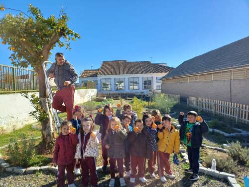 Foto Colegio Alfredo Gil #2