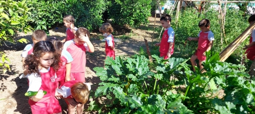 Foto Escuela Infantil Jesús, María y José #3