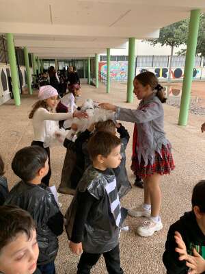 Foto Colegio Fernán Pérez De Oliva #2