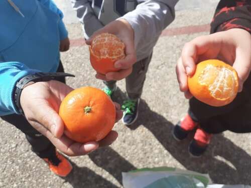 Foto Colegio Juan Rufo #2