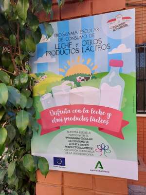 Foto Colegio Juan Rufo #2