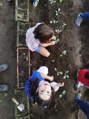 Foto Escuela Infantil Giner De Los Ríos Córdoba #2