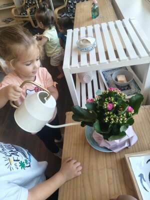 Foto Colegio Montessori Córdoba International School #2