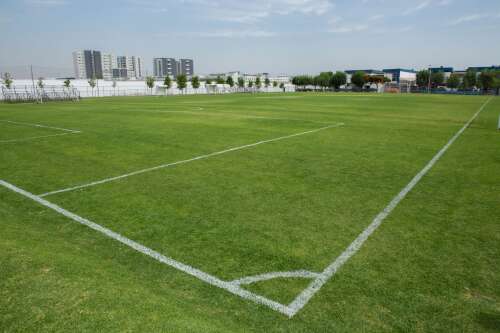 Foto Colegio Thomas Jefferson Valle Real #3