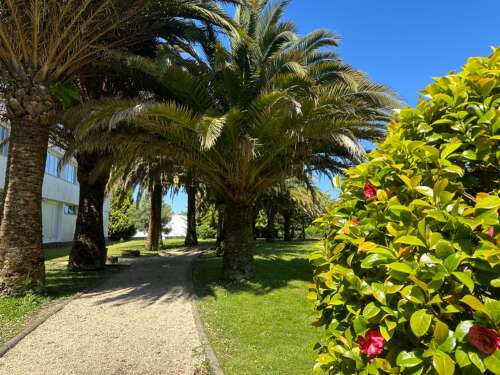 Foto Colegio Hijas De Cristo Rey #2
