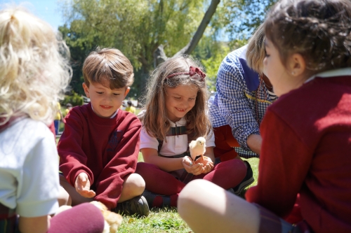 Foto Colegio Internacional Obradoiro #2