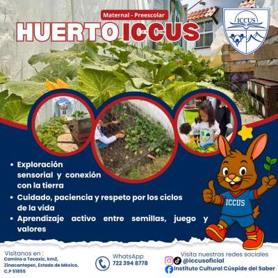 Foto Instituto  Cultural Cuspide Del Saber #3