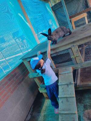 Foto Instituto  Cultural Cuspide Del Saber #3