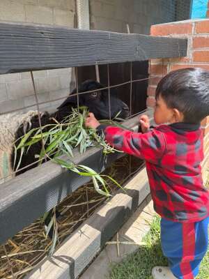 Foto Instituto  Cultural Cuspide Del Saber #3