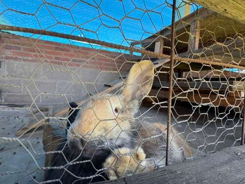 Foto Instituto  Cultural Cuspide Del Saber #3