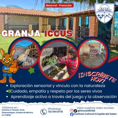 Foto Instituto  Cultural Cuspide Del Saber #3