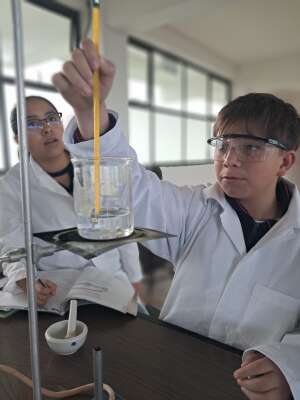 Foto Instituto  Cultural Cuspide Del Saber #3