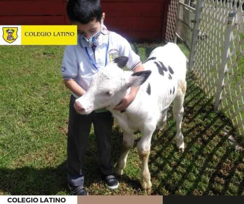 Foto Colegio  Latino Jesuita #3