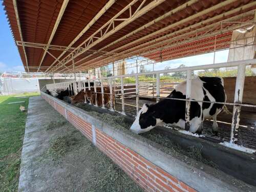 Foto Colegio  Latino Jesuita #1