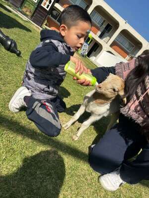 Foto Colegio  Latino Jesuita #3