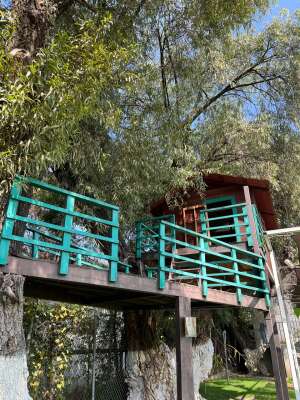 Foto Colegio  Latino Jesuita #3