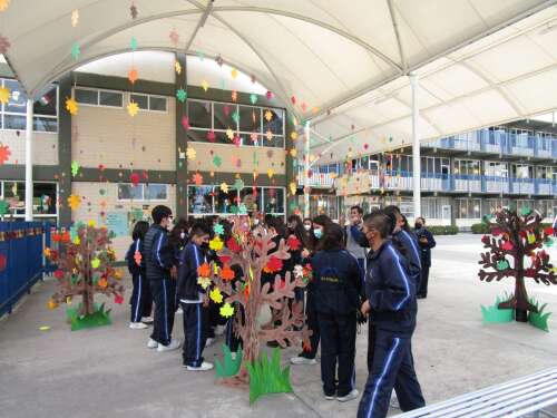 Foto Colegio Piave #3