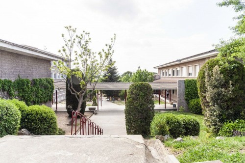 Foto Colegio Familiar Educació Les Alzines #3