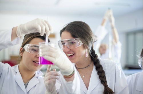 Foto Colegio Familiar Educació Les Alzines #3