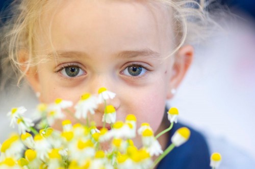 Foto Colegio Familiar Educació Les Alzines #3