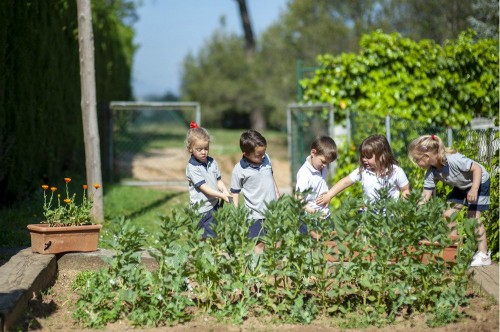 Foto Colegio Familiar Educació Les Alzines #3