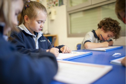 Foto Colegio Familiar Educació Les Alzines #3