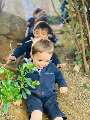 Foto Colegio Familiar Educació Les Alzines #3