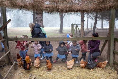 Foto Colegio Montessori Palau Girona #2