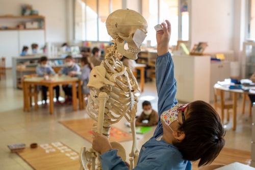 Foto Colegio Montessori Palau Girona #2