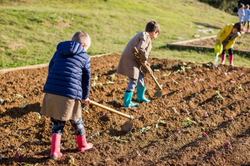 Foto Colegio Montessori Palau Girona #2