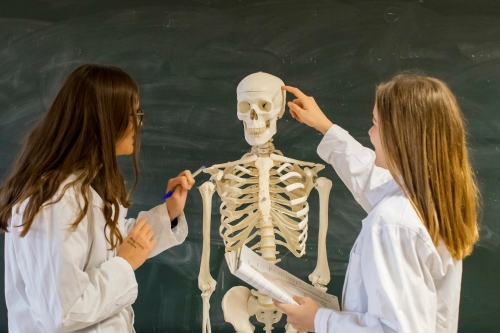 Foto Colegio Montessori Palau Girona #2