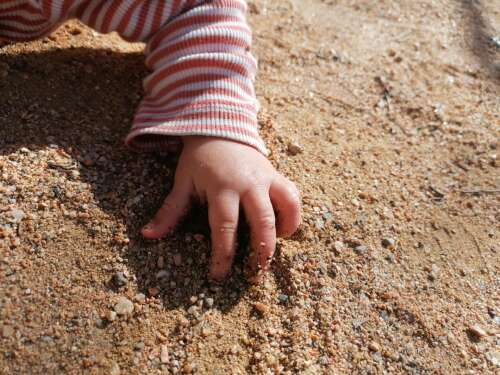 Foto Escuela Infantil El Petit Lledoner #3