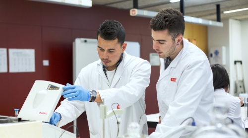 Foto Instituto Kreas #1