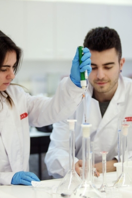 Foto Instituto Kreas #2