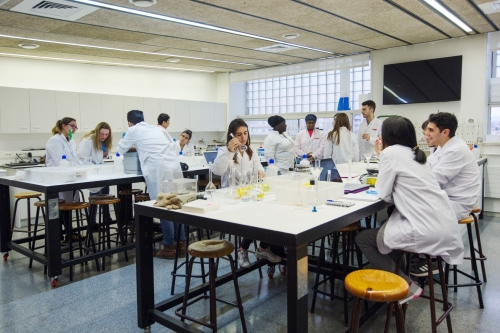 Foto Instituto Kreas #2