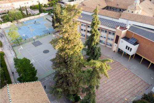 Foto Colegio La Presentación FESD de Granada #0