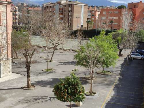 Foto Colegio Sagrado Corazón - FESB #2