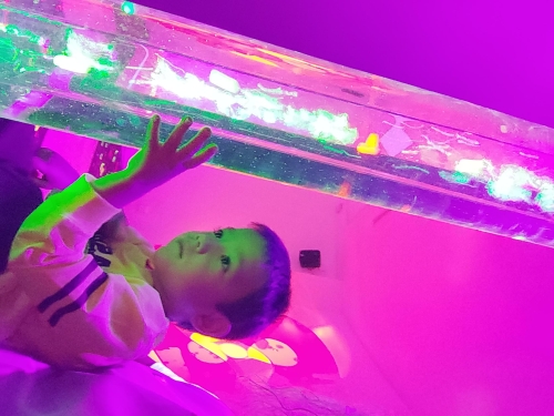 Foto Colegio Purísima Concepción #2