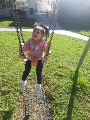 Foto Colegio Purísima Concepción #2