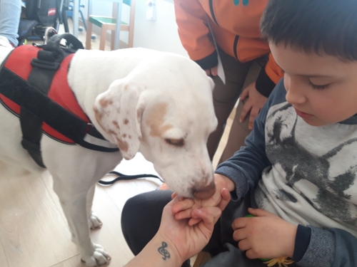 Foto Colegio Purísima Concepción #2