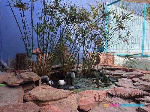 Foto Colegio Concertado Juan XXIII Zaidin #2