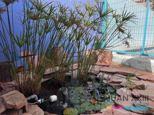 Foto Colegio Concertado Juan XXIII Zaidin #2