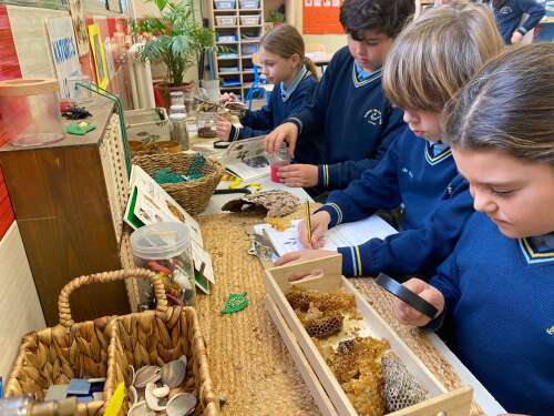 Foto Colegio Virgen De Gracia #2